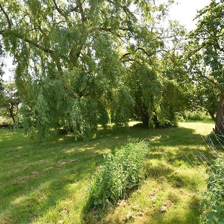 Spacious Holiday Home In Hornstorf With Trampoline Esterno foto